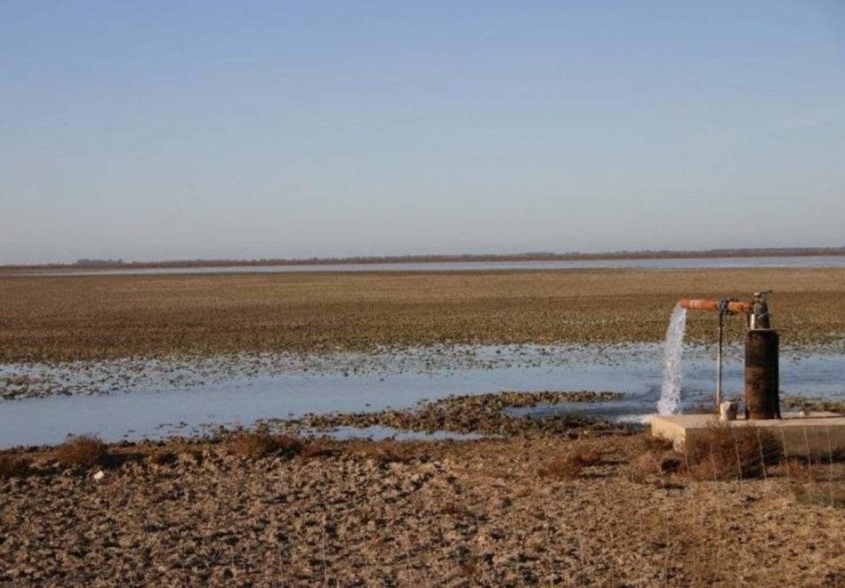 Imagen de un Doñana sin agua