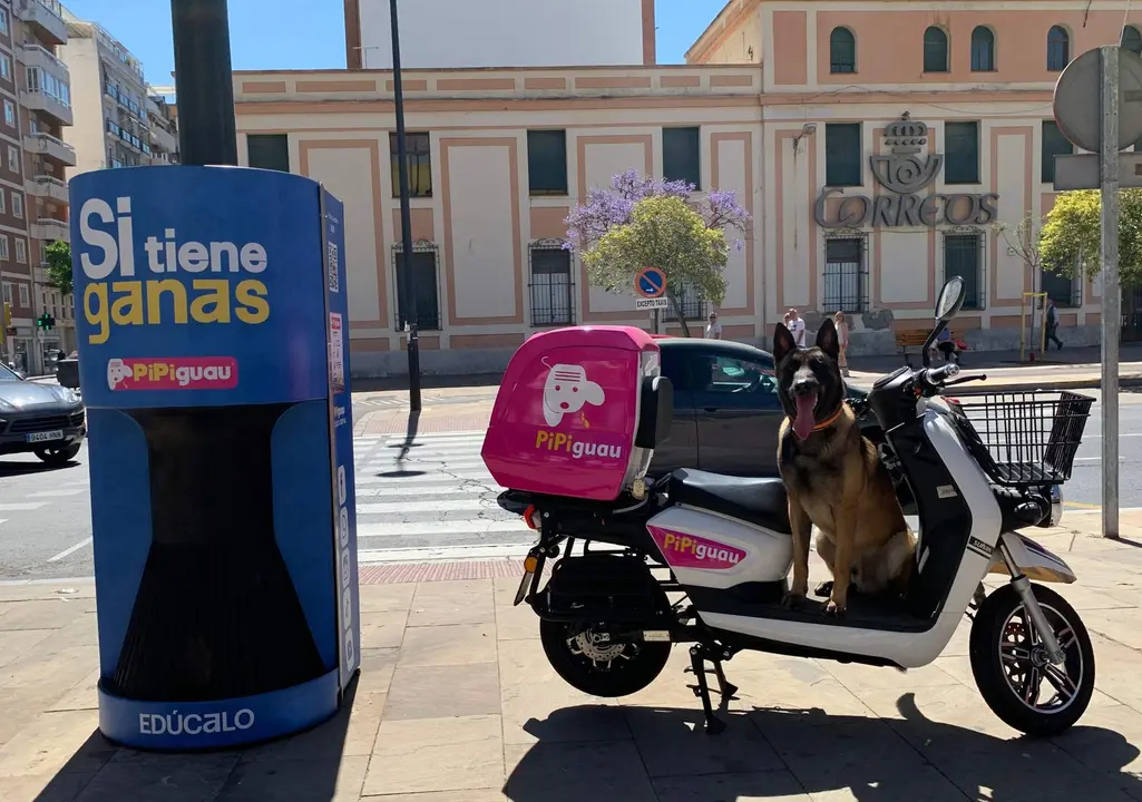 Pipiguau en el centro de la capital