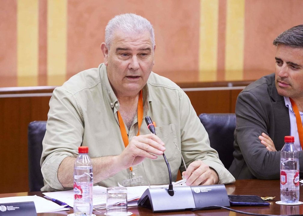 Manuel Piedra, en la comisión parlamentaria