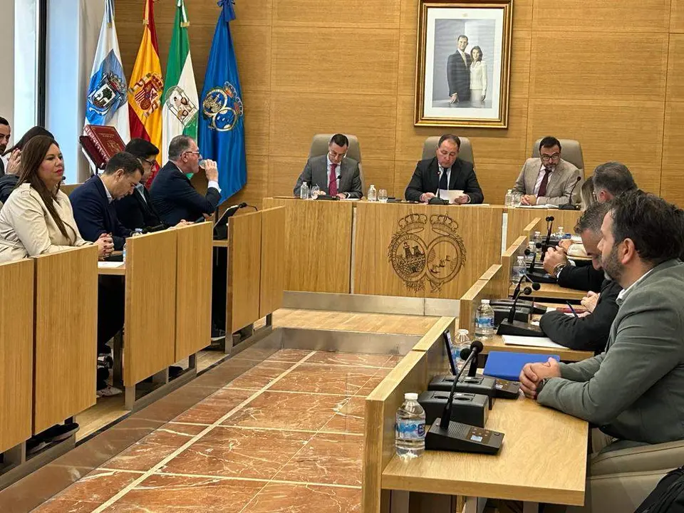 Pleno de la Diputación