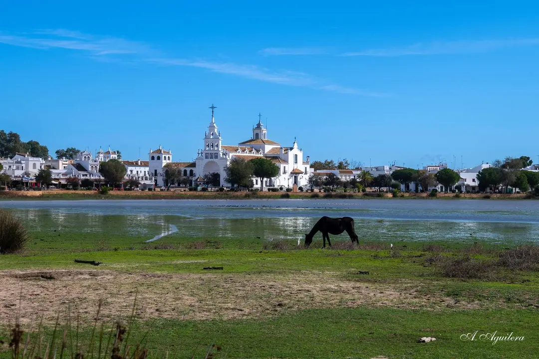 Panorámica de la Madre de las Marismas, junto a La Rocina