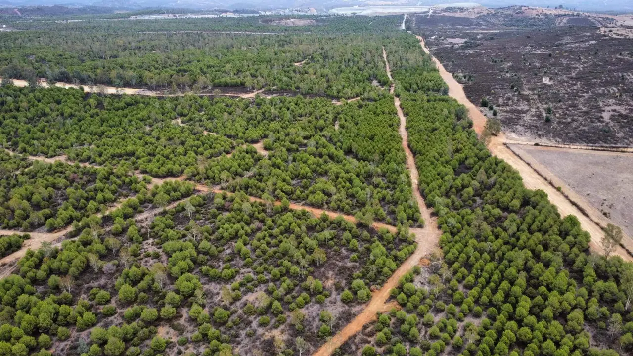 Ambito del proyecto junto a Valdelamusa