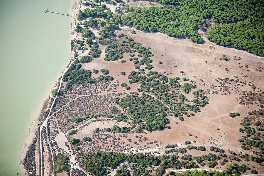 Parque de Doñana