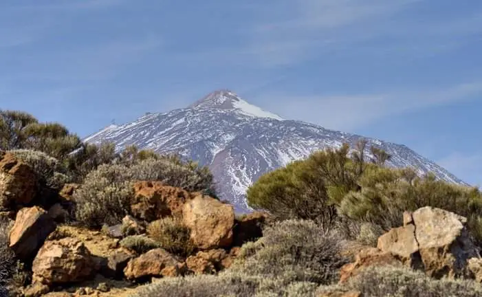 Zona del suceso (Foto: Soldelsurtenerife.es)