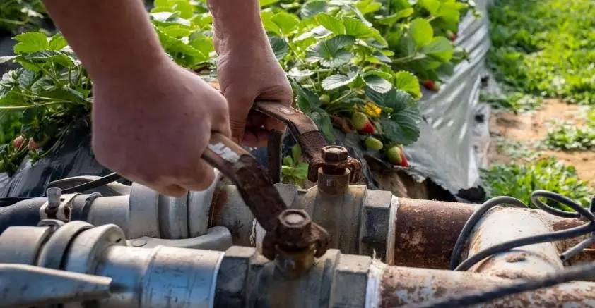 Llega el gran cerrojazo al consumo de agua para regadíos en Huelva