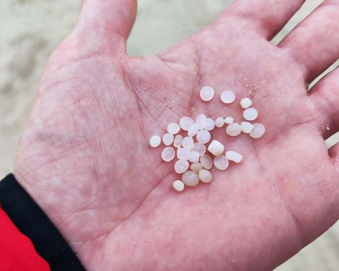 Un puñado de pellet recogido en la playa de El Portil