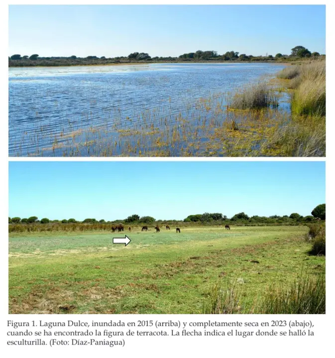 Laguna reseca, ocupada por jabalíes que desenterraron el pito