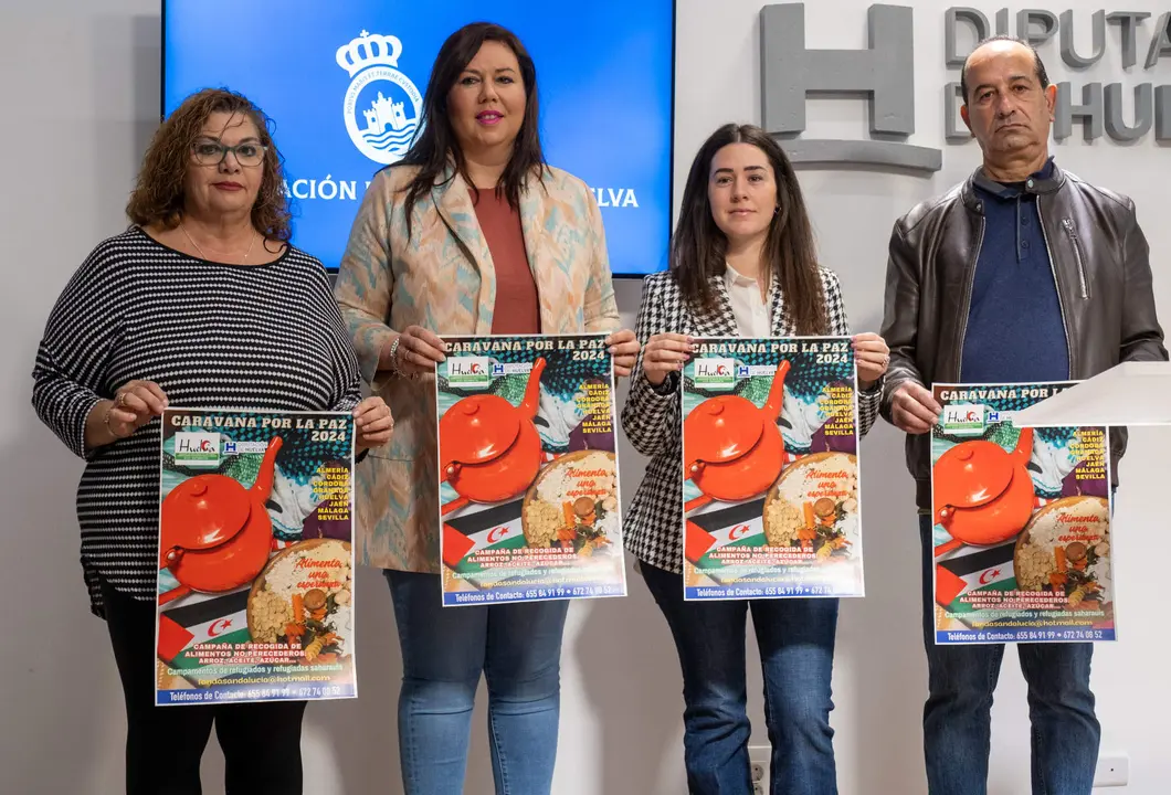 Presentación de la campaña en la Diputación