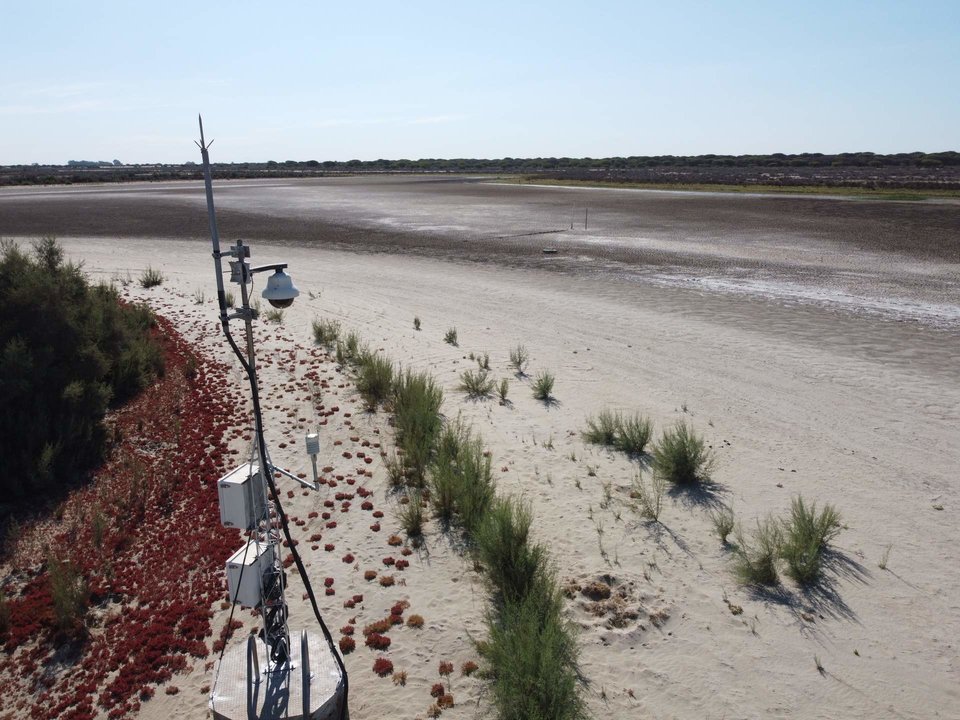 La laguna de Santa Olalla, la última laguna permanente de Doñana, completamente seca en agosto del año pasado