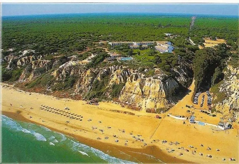 Extenso pinar tras la playa del Parador de Mazagón