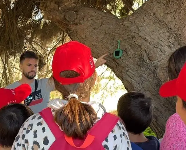 Detector en la zona para prevenir incendios