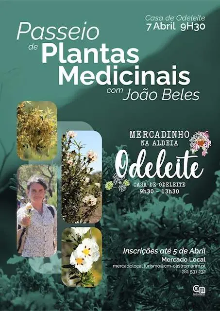 Passeio de plantas medicinais