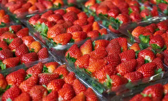 Cajas de fresas