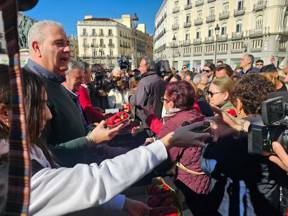 Reparto de fresas en la Puerta del Sol este martes por iniciativa de UPA-Huelva