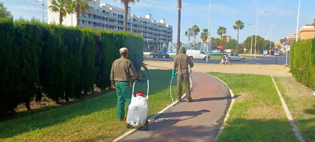 Tratamiento barrera en Huelva capital