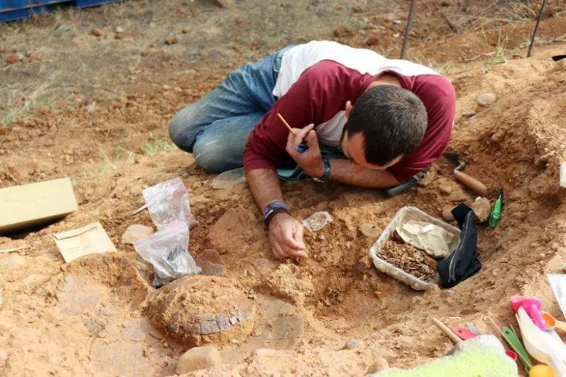 Un arqueólogo, en La Joya