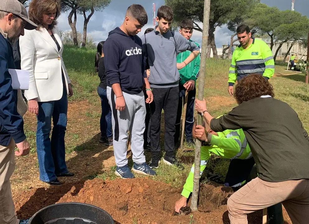 Reforestación Parque Moret