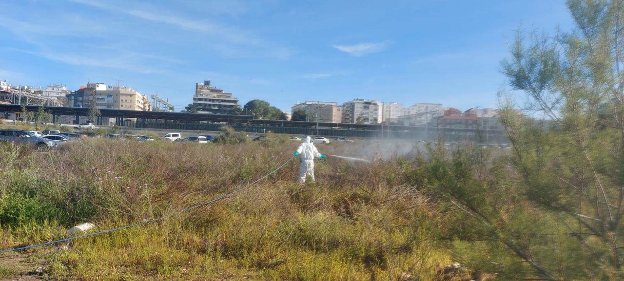 Tratamiento mosquitos en el entorno de Huelva capital