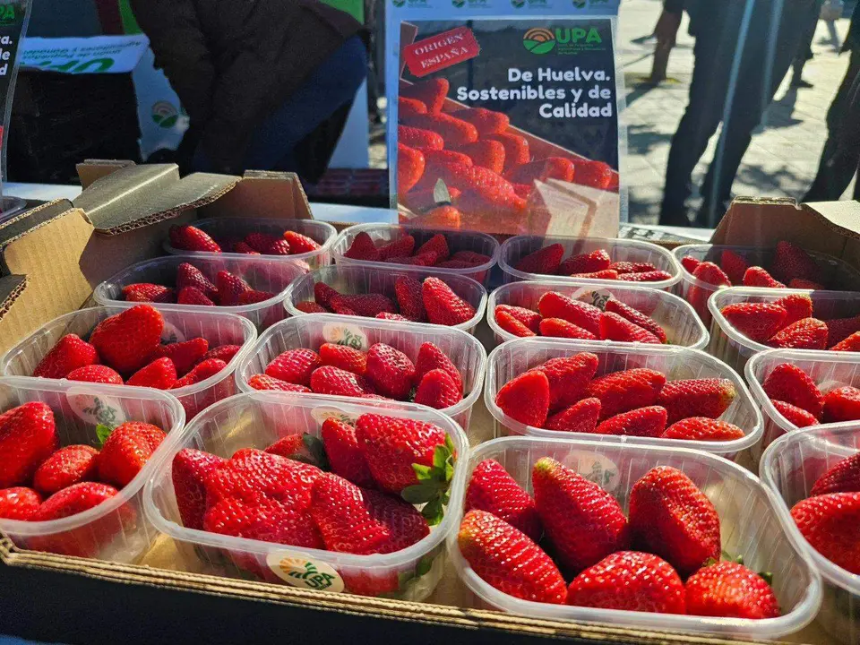 Tarrinas de fresas