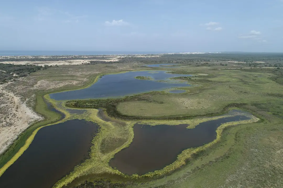 Una de las grandes lagunas de Doñana