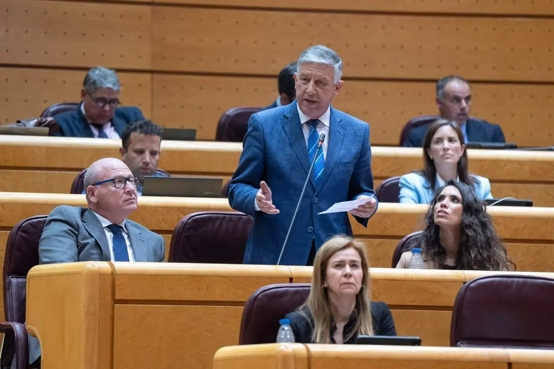 Carmelo Romero, en el Senado