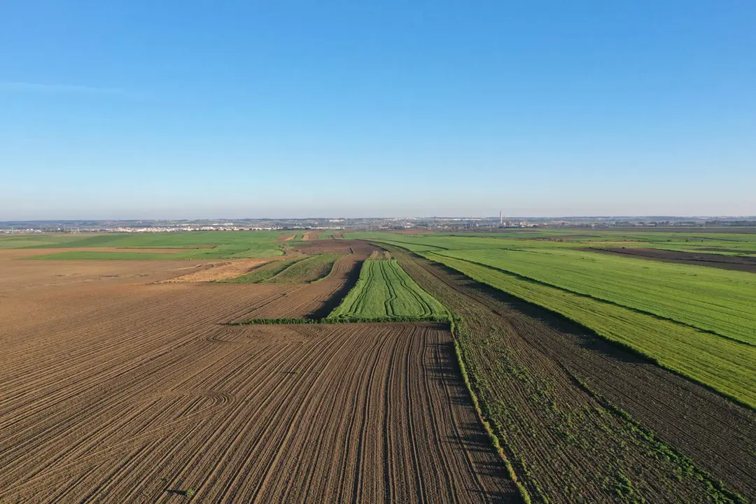 Terrenos agrícolas que ocupará la planta que se anuncia en San Juan