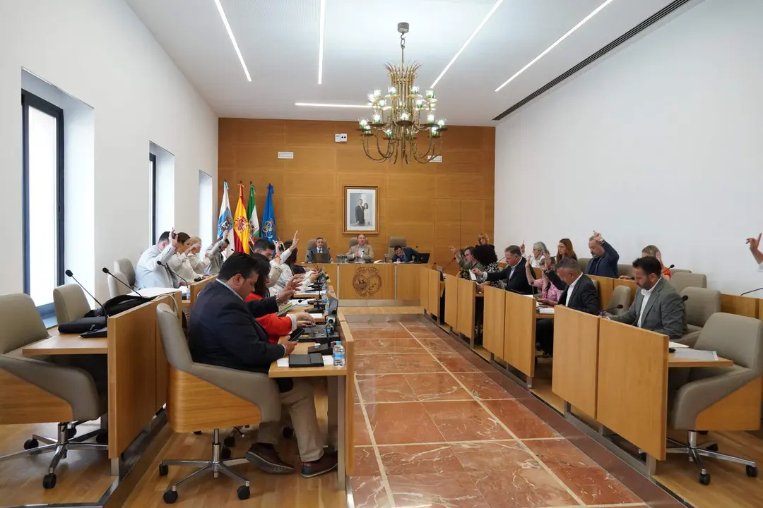 Pleno de la Diputación