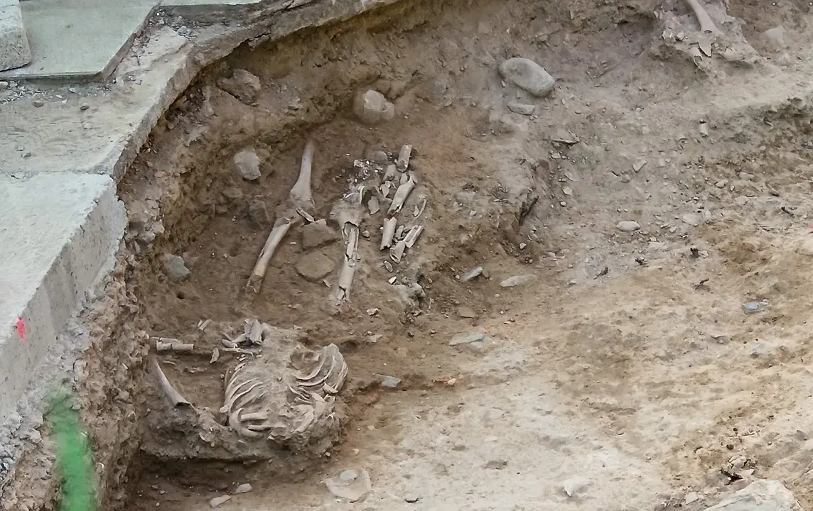 Uno de los esqueletos que ha sorprendido a los operarios