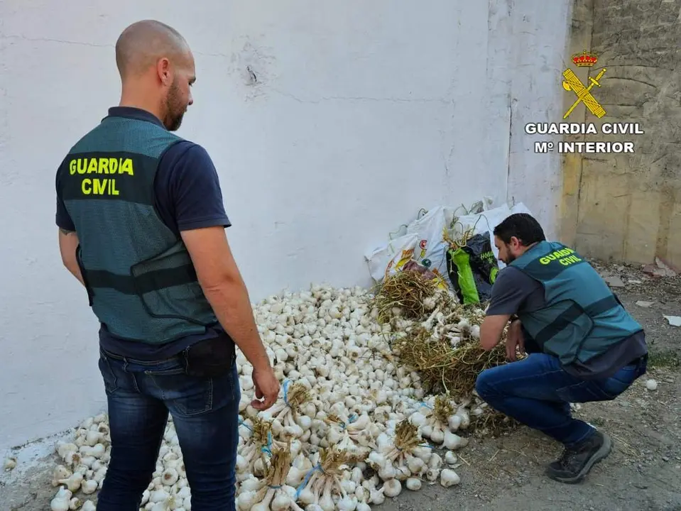 Agentes con los ajos incautados