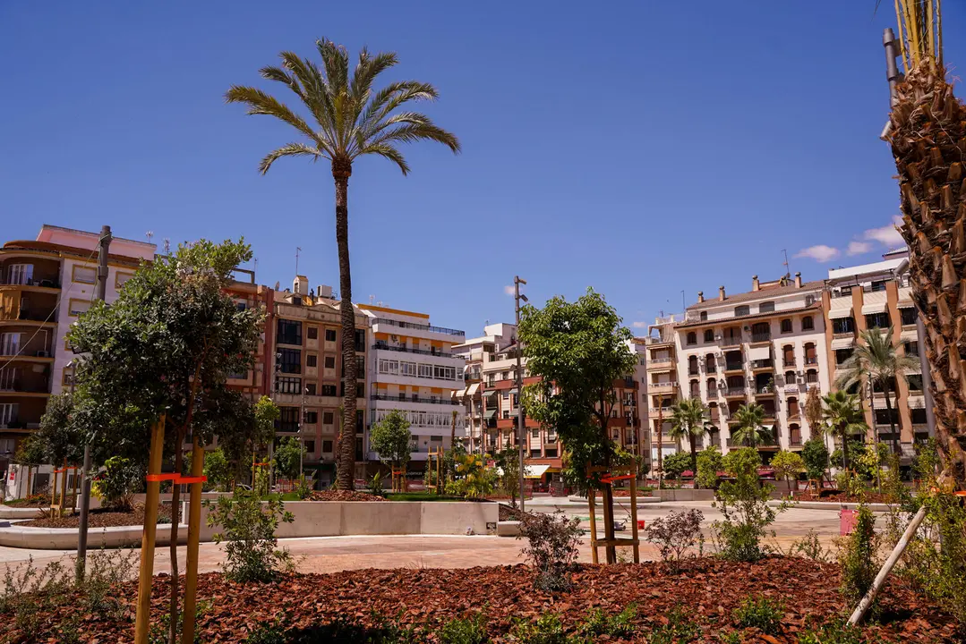 Panorámica de la plaza con única palmera antigua que queda