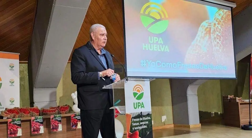 Manuel Piedra