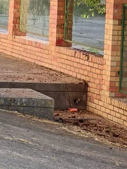 Ratas cerca del edificio de la Delegación de Educación