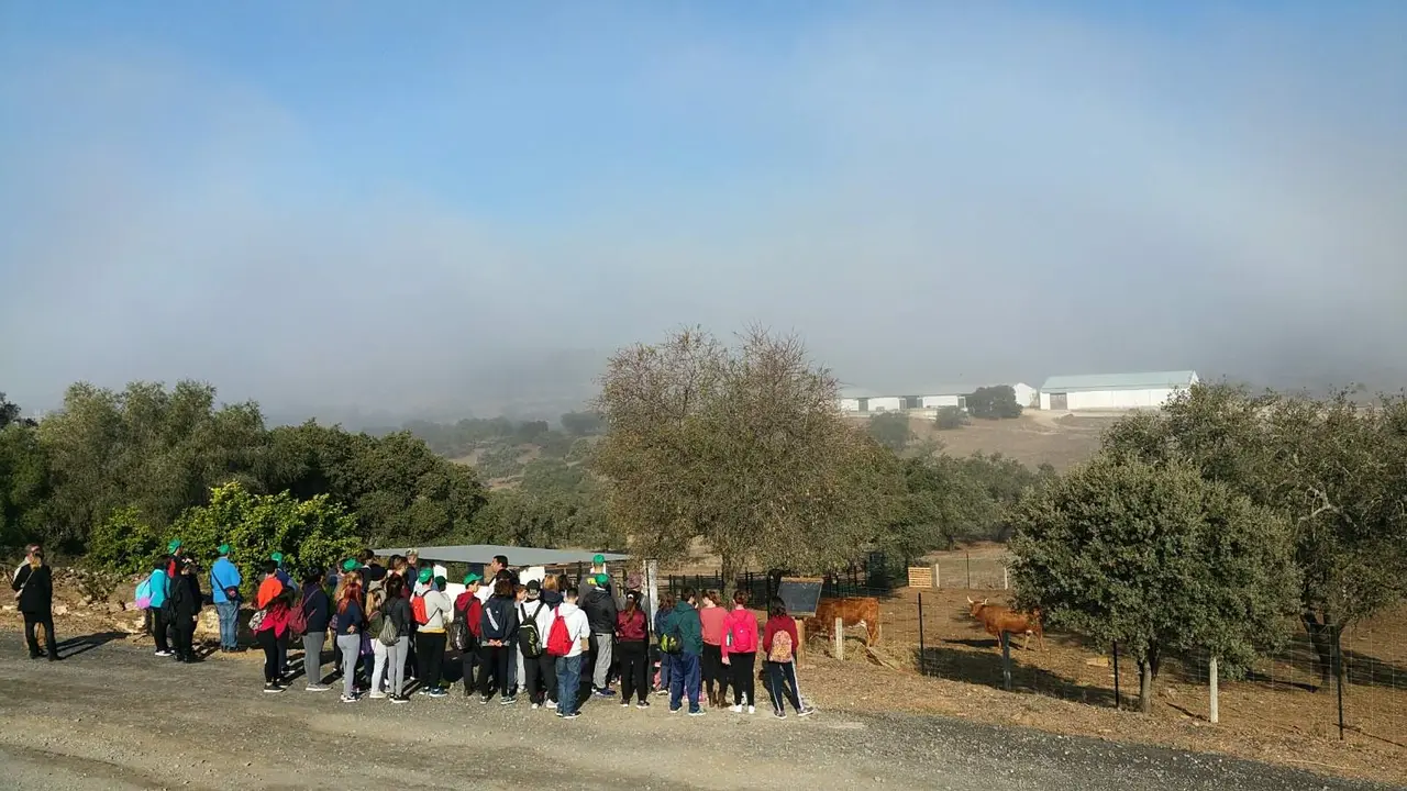 Proyecto Huerto Ramírez