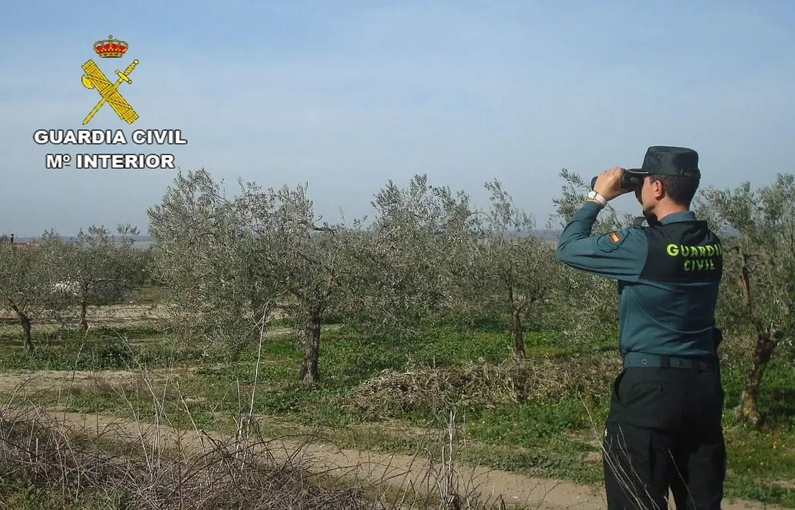Agente vigilando los campos