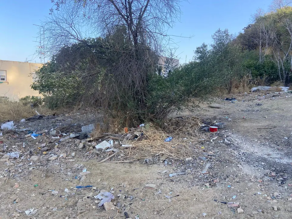Detalle de abandono en las laderas del Conquero
