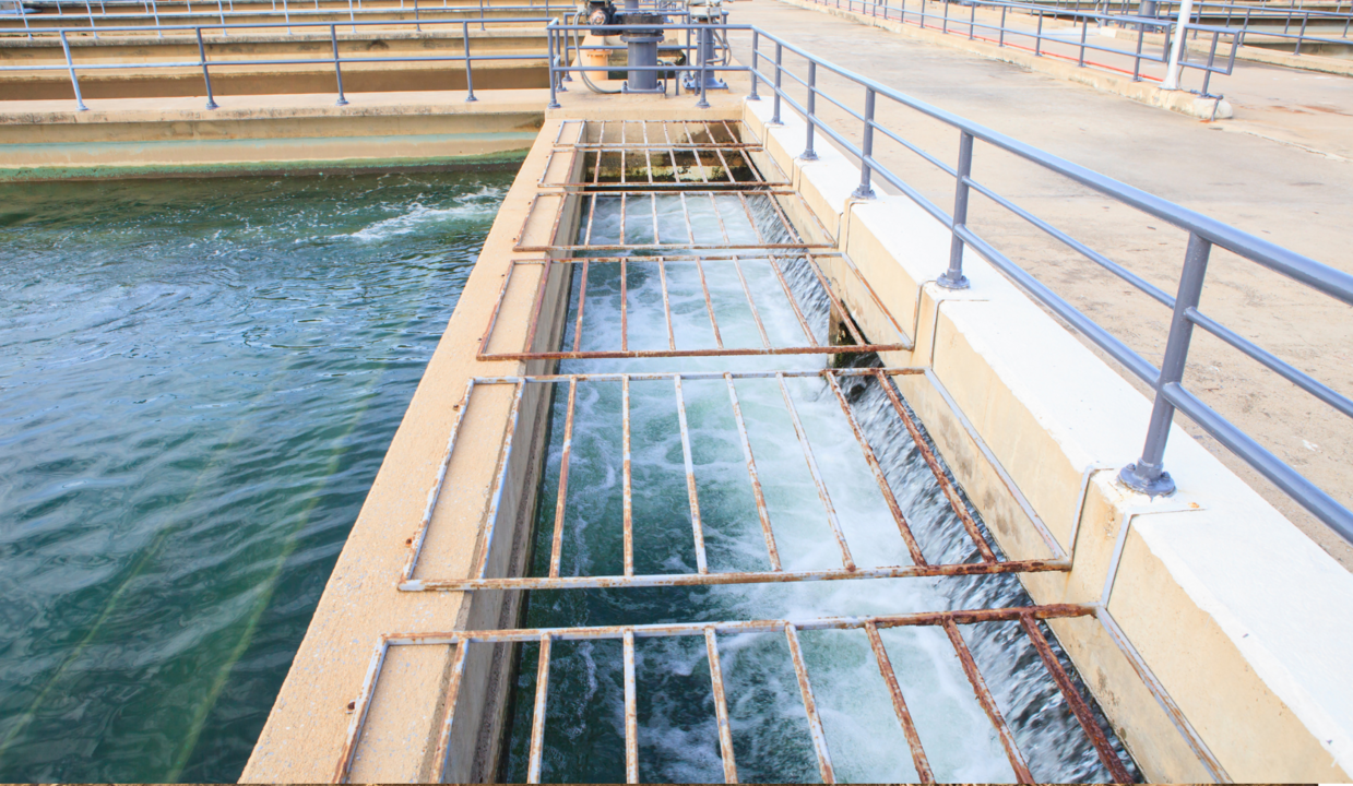 Gestión del agua