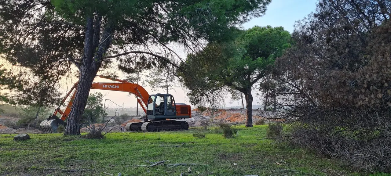 Obras en El Rompido