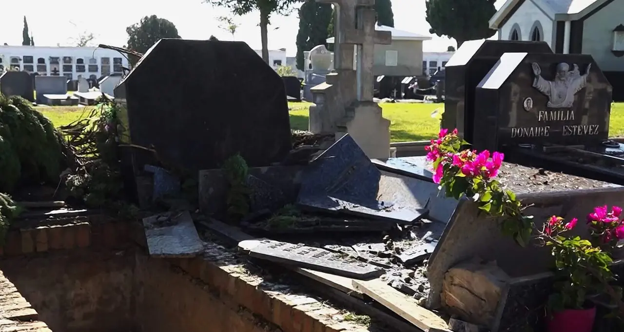 Daños en sepulturas de La Soledad