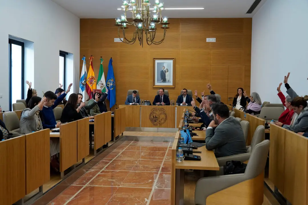 Pleno Medallas de la Provincia