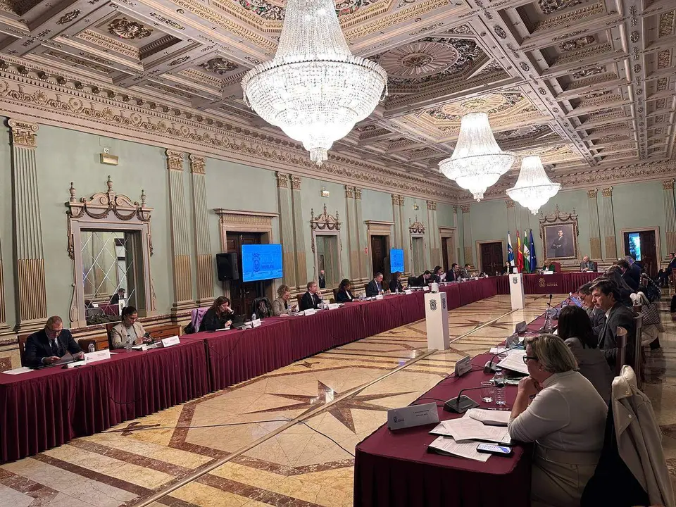 Imagen del Pleno