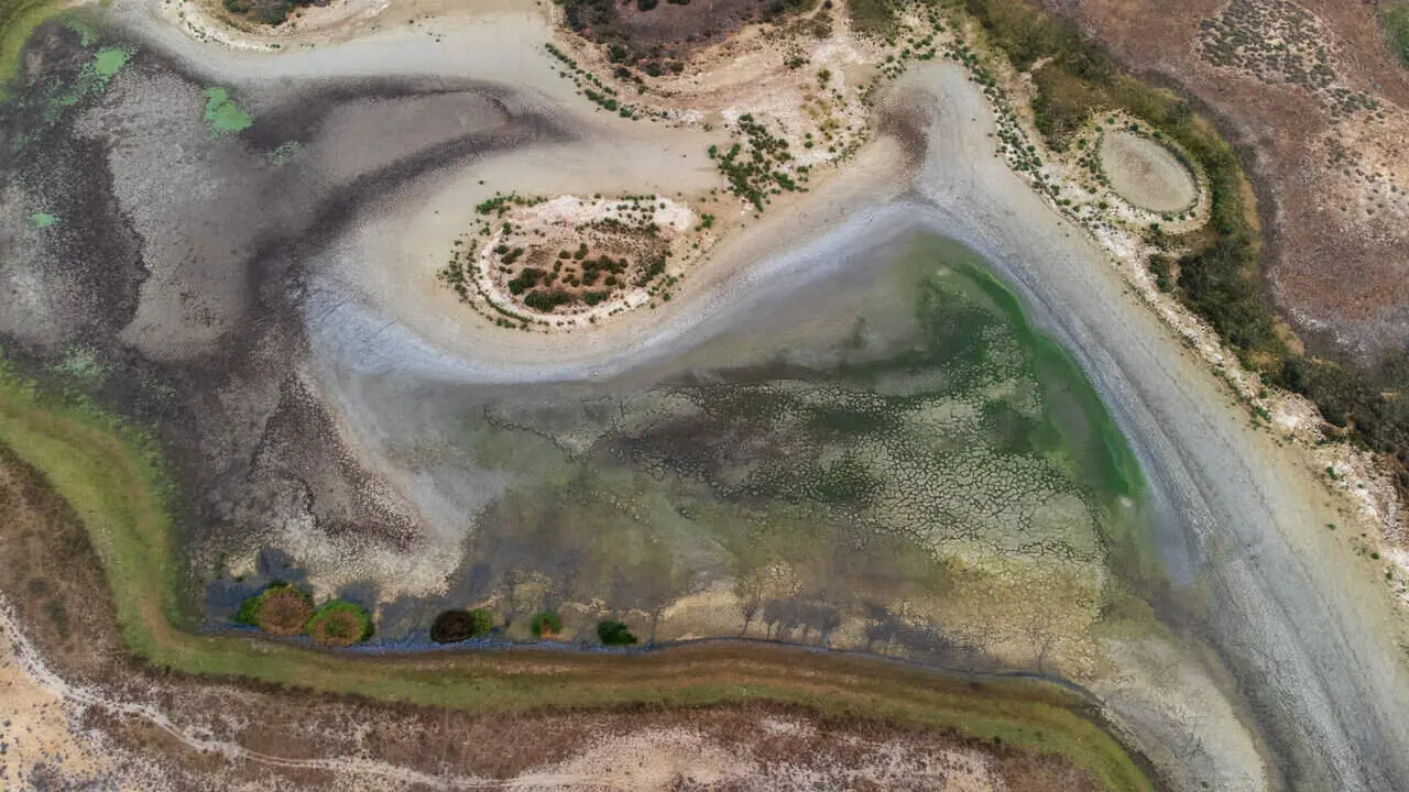 Zona de Doñana afectada por la sequía
