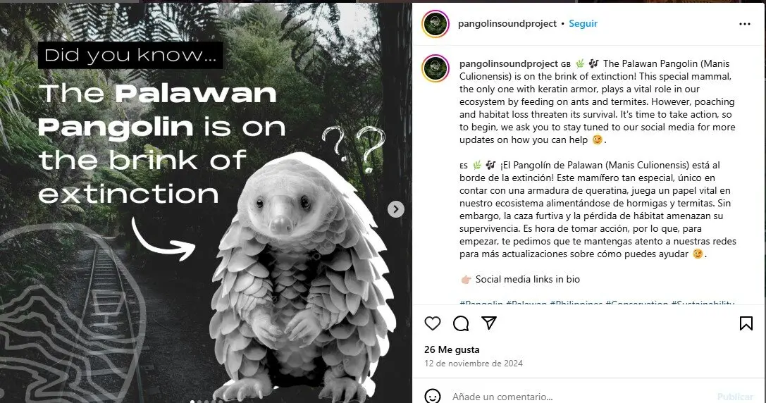 Captura de pantalla del proyecto en Instagram