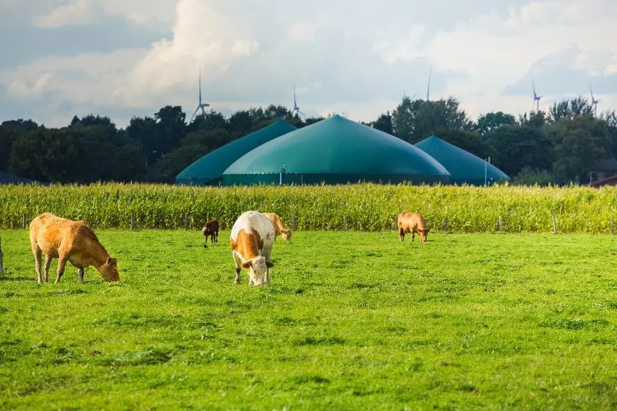 Moeve desarrollará 30 plantas de biometano en España con una inversión acumulada de 600 millones de euros
