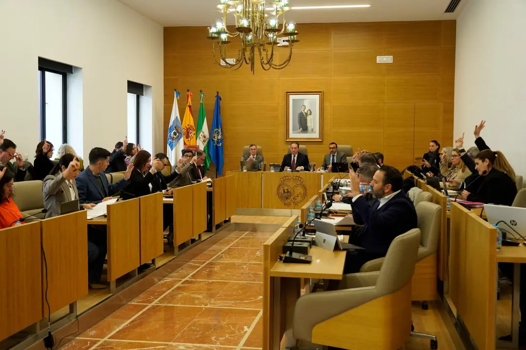 Pleno febrero
