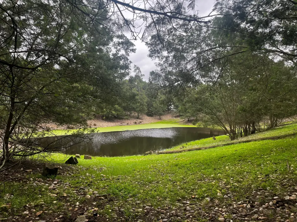 Una de las balsas de la finca Los Mimbrales (Almonte, Huelva). Oficina Técnica de Doñana