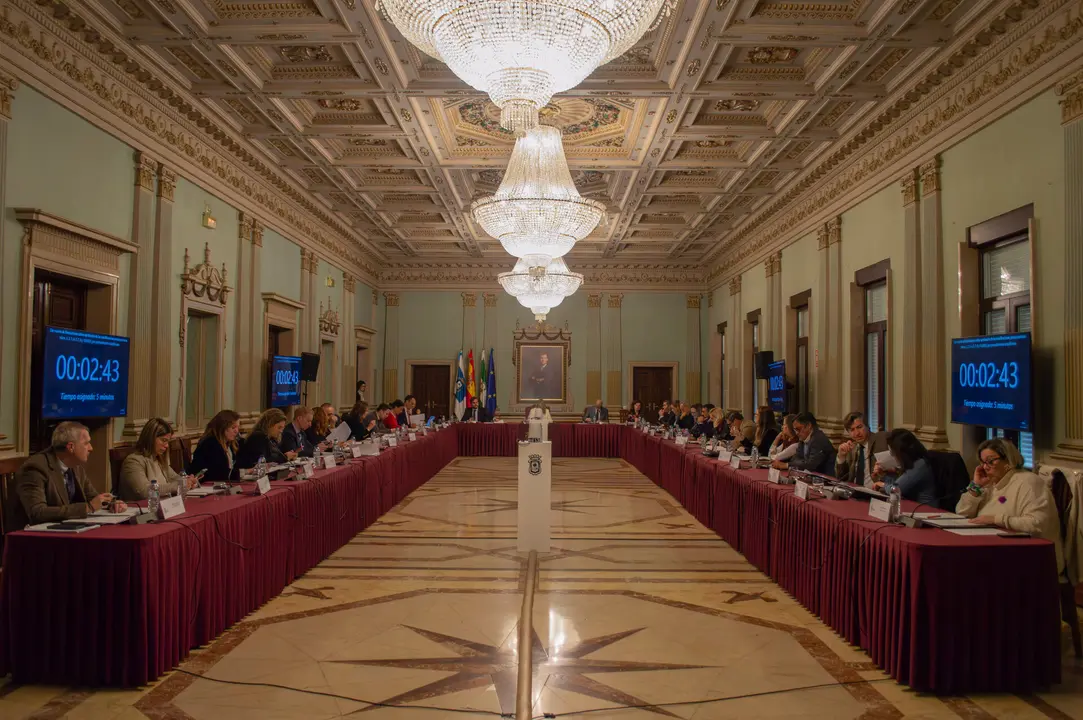 Pleno Febrero