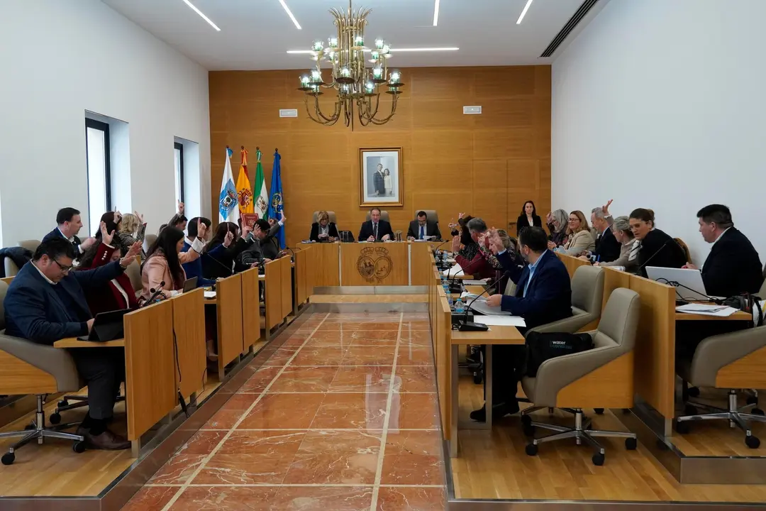 Votación en el Pleno de marzo