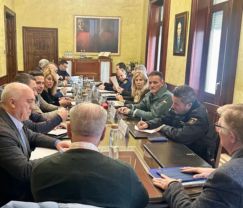 Rico, en el centro, frente a Miranda, en la Junta de Seguridad