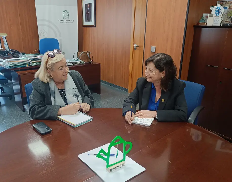 Reunión del Colegio de Médicos con la delegada salud