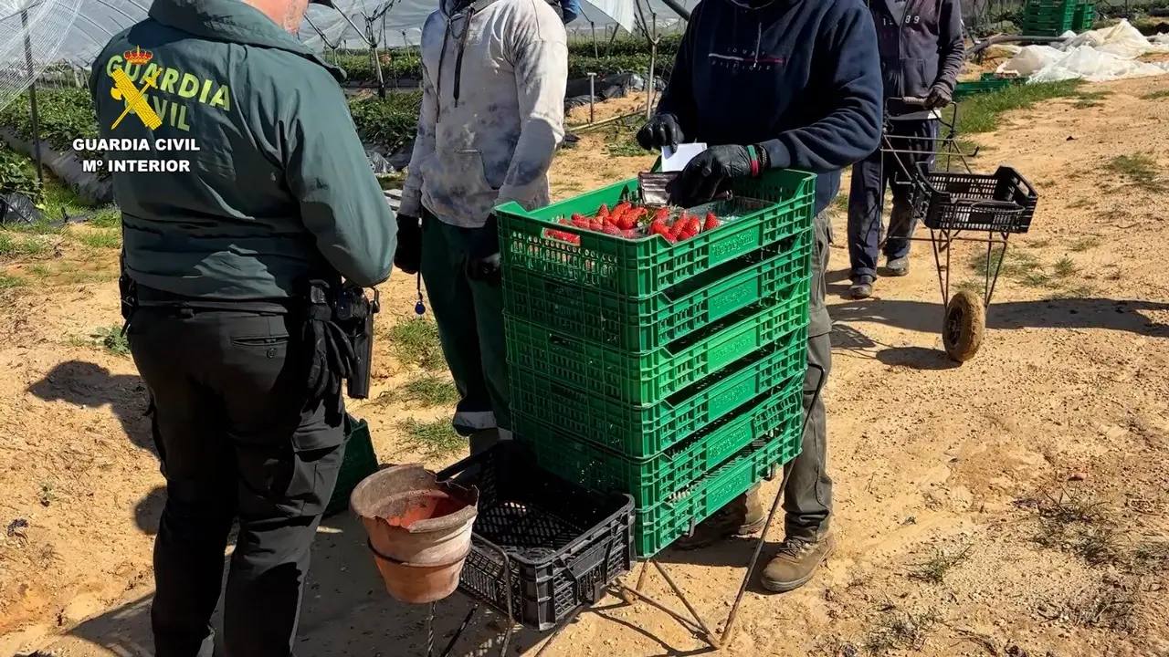 Inspección en plena campaña de frutos rojos